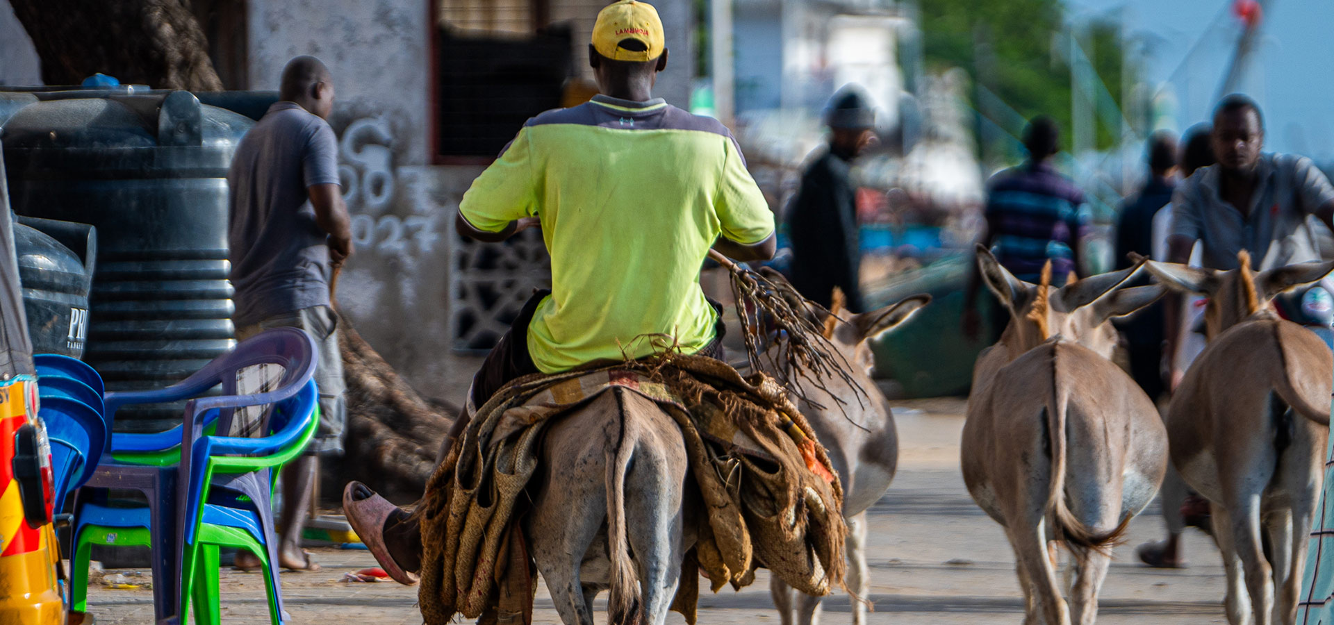 Les gardiens de Lamu Une étude de cas sur la campagne contrele Projet de centrale à "charbon de Lamu December 2024